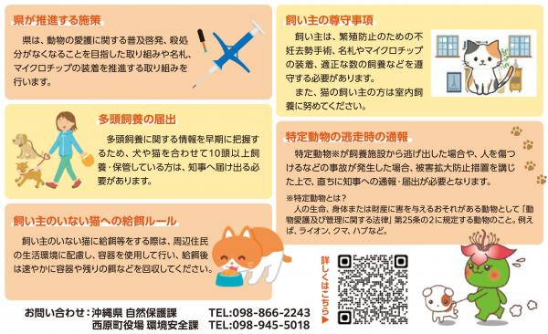 条例の概要