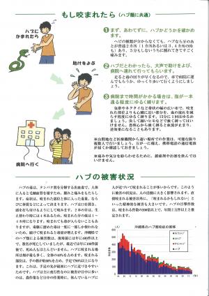 もしハブに咬まれたら