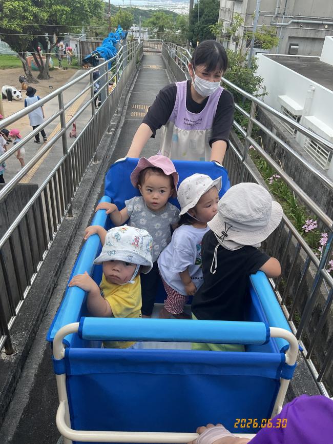 👣お散歩👣