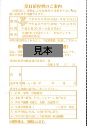 見本（裏面）