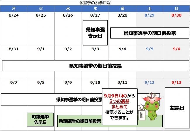 各選挙の投票日程